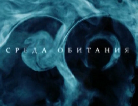 Среда обитания / Левый автосервис